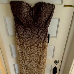 Gorgeous lace ombré dress. Never worn.